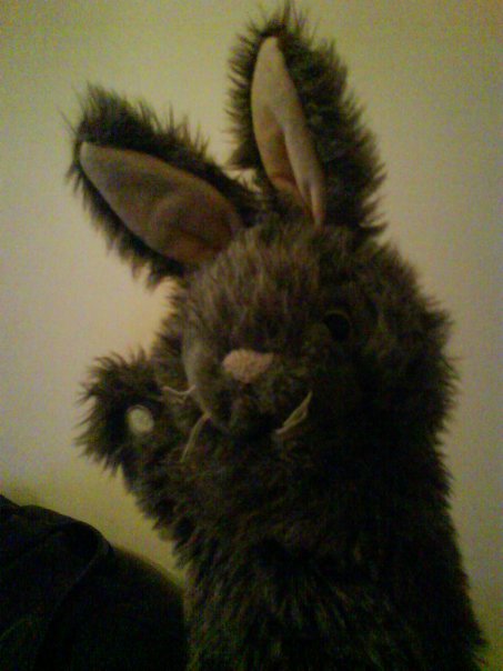 Bunny!